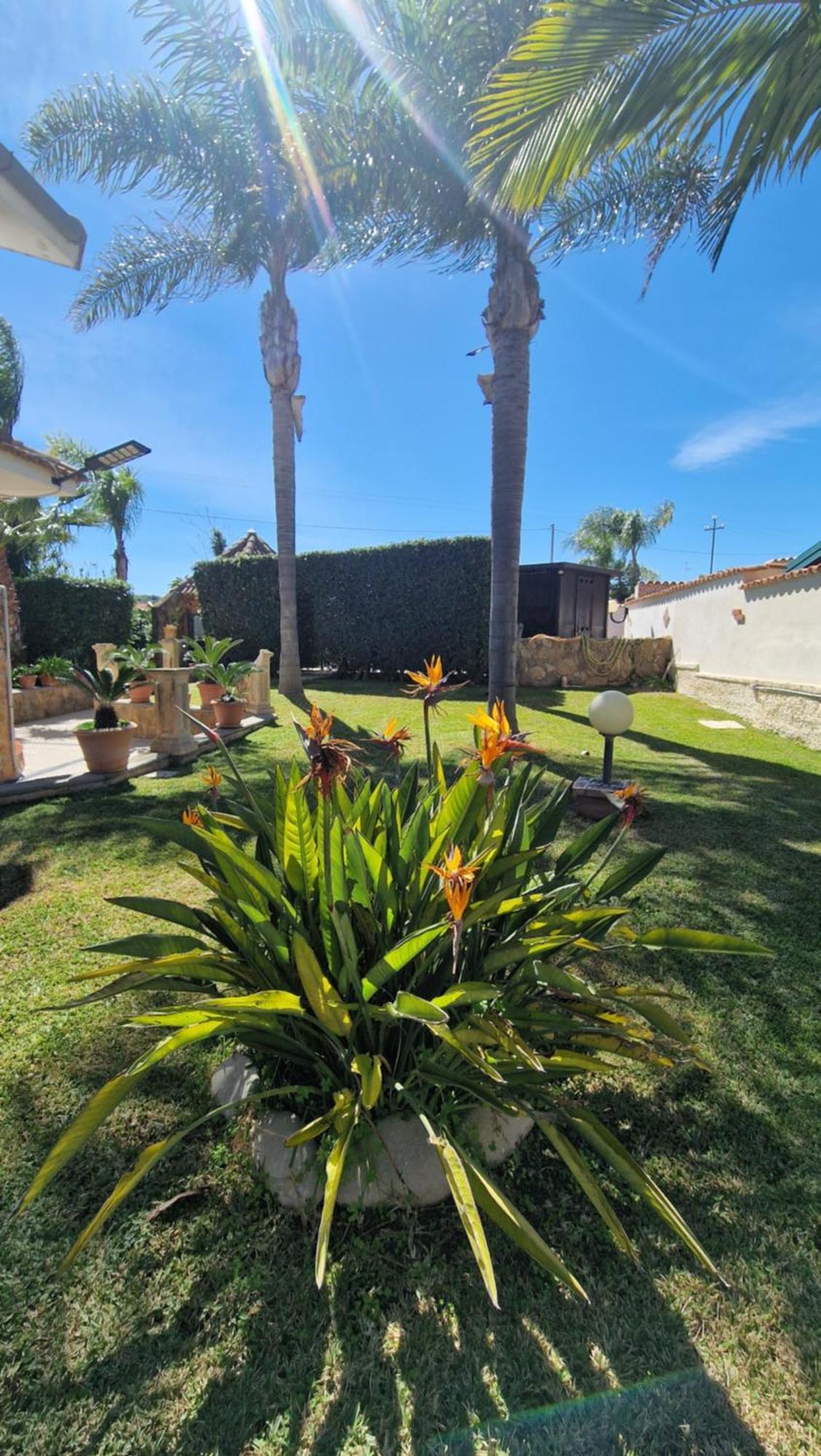 ברוקולי Villa Carlotta מראה חיצוני תמונה